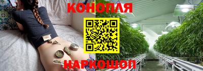 Альфа ПВП Жуковский