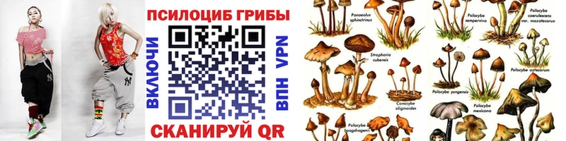 площадка Telegram  Магнитогорск  Галлюциногенные грибы прущие грибы 